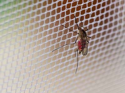 Balcony Safety Nets in Hyderabad